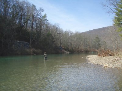Back Creek 2008.jpg
