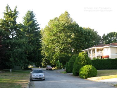 A quiet street in Burnaby