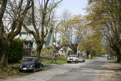 A street in Vancouver's Point Grey