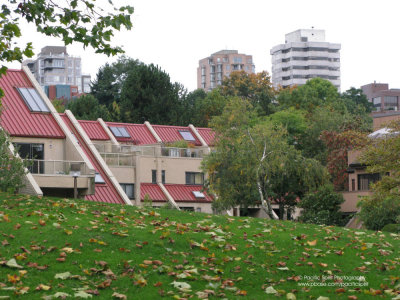 False Creek waterfront homes