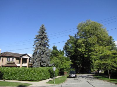 West 29th Avenue at Selkirk Street, Shaughnessy