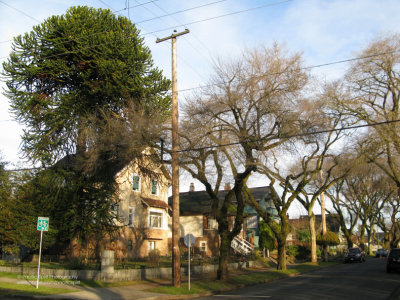 Lakewood Drive at East 6th Avenue, East Vancouver