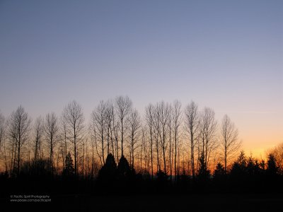 Kensington Park sunset