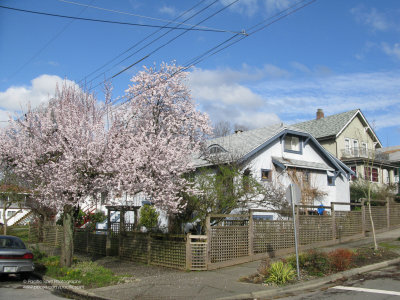 East 4th Avenue at Garden Drive, East Vancouver