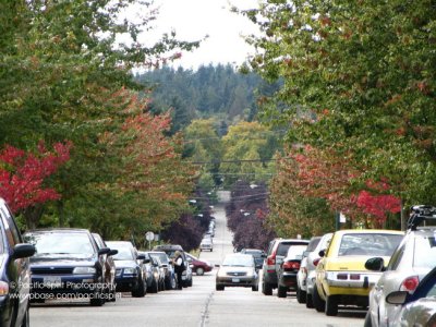 A street in Dunbar, on Vancouver's West Side