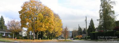 2nd Street at Queens Avenue, New Westminster