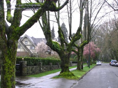 Balfour Avenue, Shaughnessy