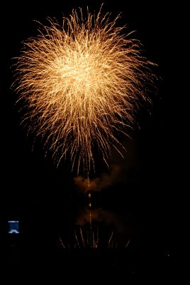 firework-0274.jpg