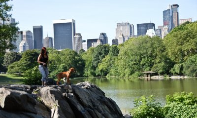 NY-0053.jpg