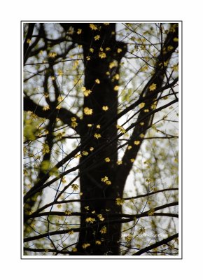scence-3.jpg