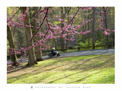scence-27.jpg