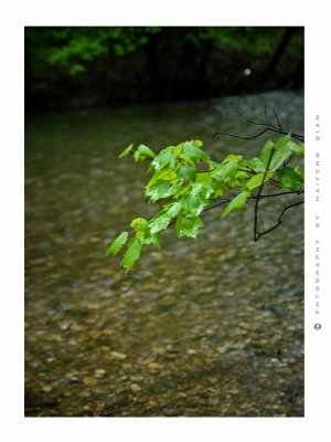 scence-7.jpg