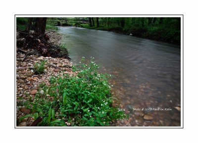 scence-14.jpg