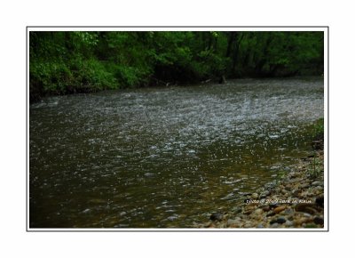 scence-15.jpg