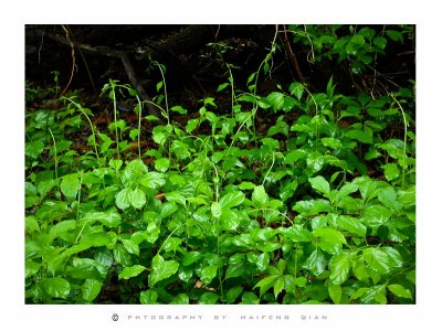 scence-16.jpg