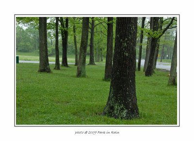 scence-27.jpg