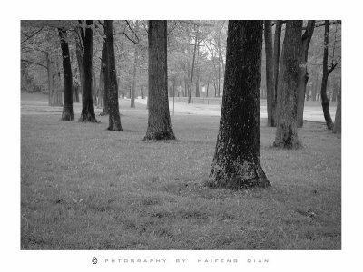 2009 Creek in Rain