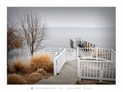 2009 Love point  of Chesapeake Bay