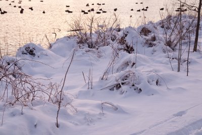 Lake_snow-1.jpg