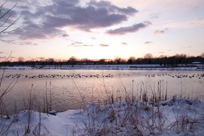 Lake_snow-2.jpg