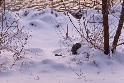 Lake_snow-3.jpg