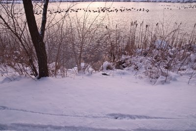 Lake_snow-5.jpg