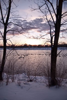 Lake_snow-6.jpg