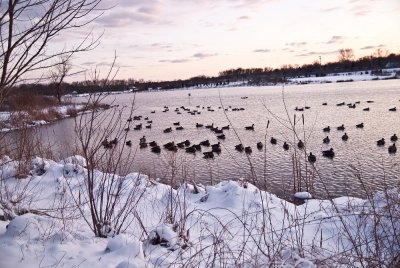 Lake_snow-7.jpg