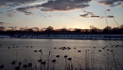 Lake_snow-8.jpg