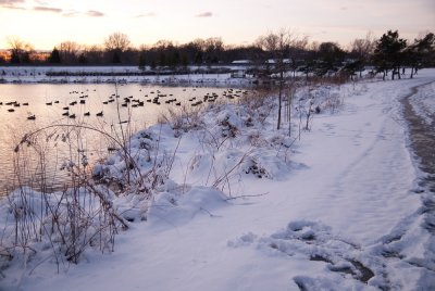 Lake_snow-9.jpg