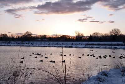 Lake_snow-10.jpg