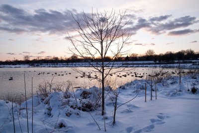Lake_snow-11.jpg