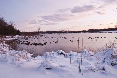 Lake_snow-13.jpg