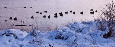 Lake_snow-15.jpg