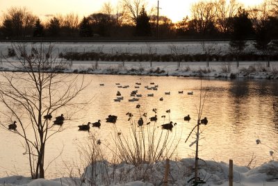 Lake_snow-17.jpg