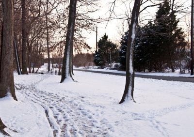 2009 Artemesia Lake
