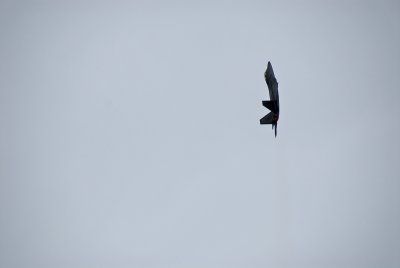 Air_show-0897.jpg