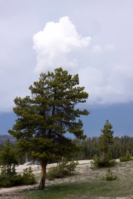 IMG_1205.JPG
