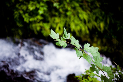 Aug 16 08 Colum River Gorge POTN Meet-102.jpg