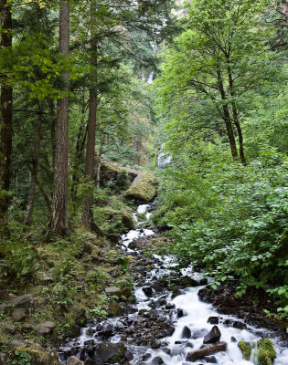 Aug 16 08 Colum River Gorge POTN Meet-77.jpg