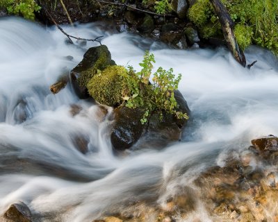 Aug 16 08 Colum River Gorge POTN Meet-82-2.jpg