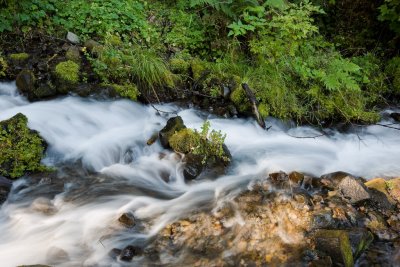 Aug 16 08 Colum River Gorge POTN Meet-82.jpg