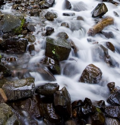 Aug 16 08 Colum River Gorge POTN Meet-89-2.jpg