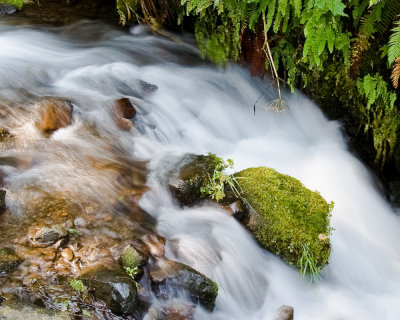 Aug 16 08 Colum River Gorge POTN Meet-97-2.jpg
