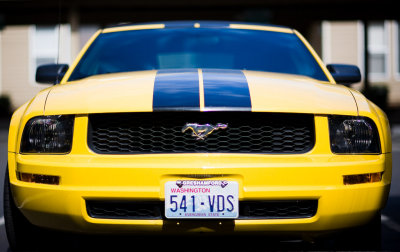 Yellow Mustang and the Canon 85L