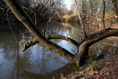 Nov 20 07 Hillsdale river park-38-2.jpg