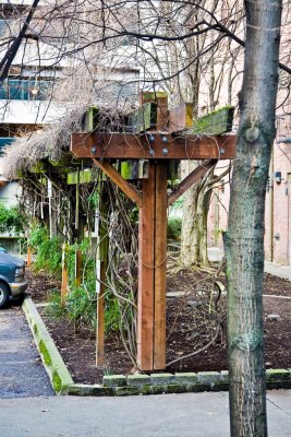 Feb 6 10 POTN Seattle 5D-159.jpg