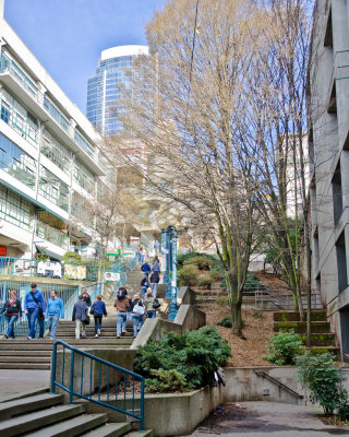 Feb 6 10 POTN Seattle 5D-189.jpg