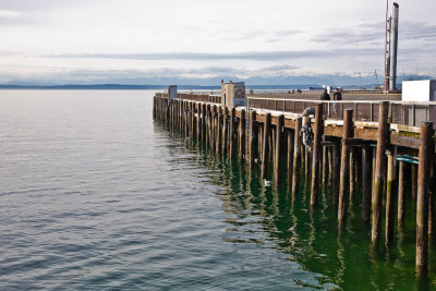 Feb 6 10 POTN Seattle 5D-209.jpg