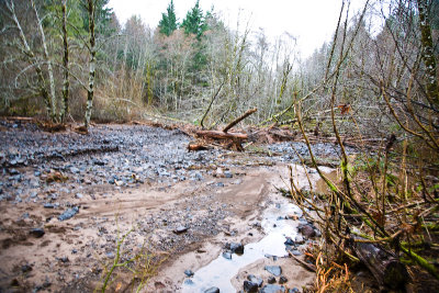 Dec 5 07 Oregon flood area-2.jpg